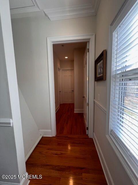 hallway with dark hardwood / wood-style flooring and crown molding