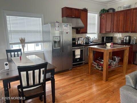 kitchen with light wood-type flooring, stainless steel appliances, crown molding, and a healthy amount of sunlight