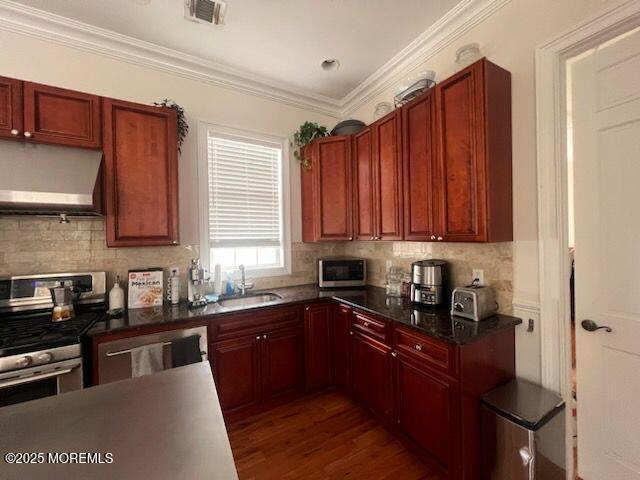 kitchen featuring appliances with stainless steel finishes, backsplash, dark hardwood / wood-style floors, and sink