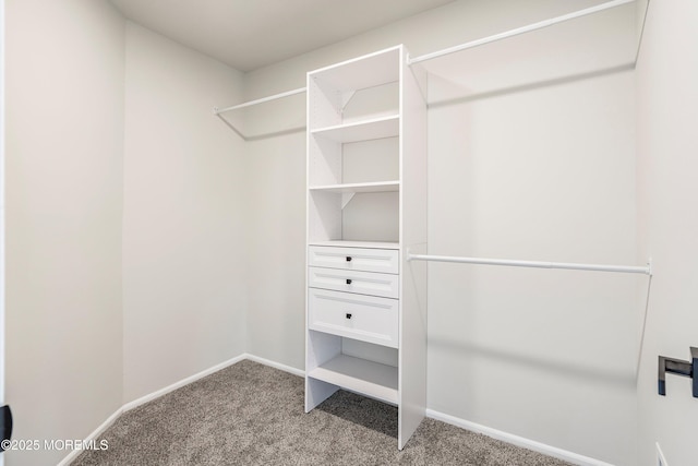 spacious closet with carpet floors