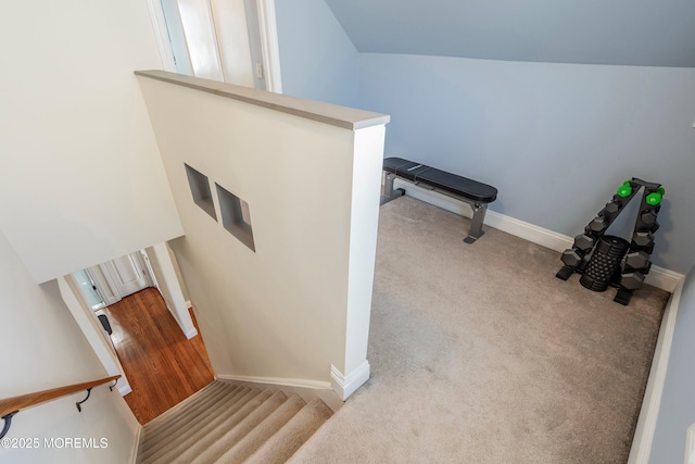 stairway with carpet flooring