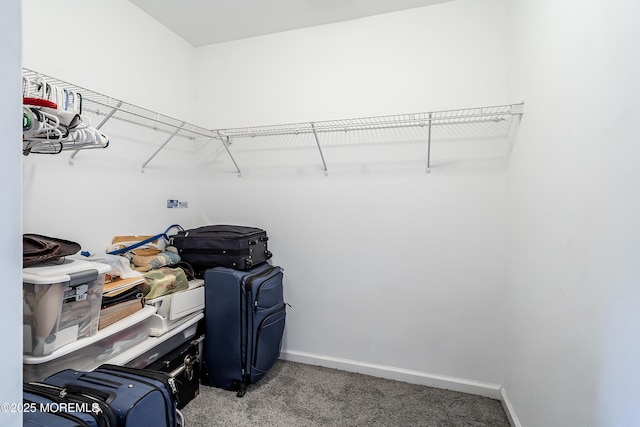 spacious closet with carpet floors