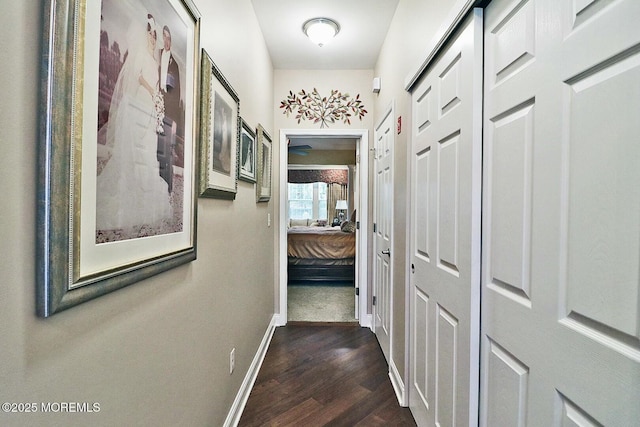 hallway featuring dark hardwood / wood-style flooring