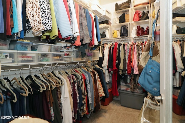 spacious closet featuring light colored carpet