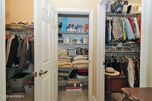 view of closet