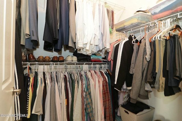 view of spacious closet