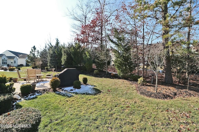 view of yard featuring a patio area