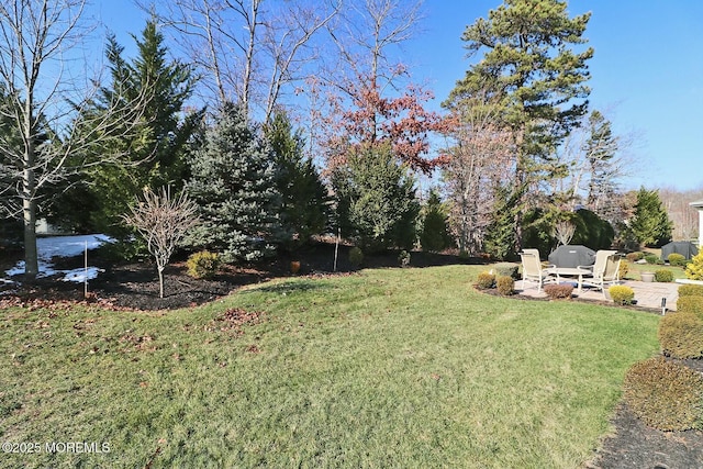 view of yard with a patio