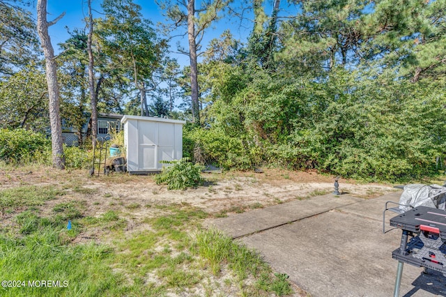 view of yard featuring a storage shed