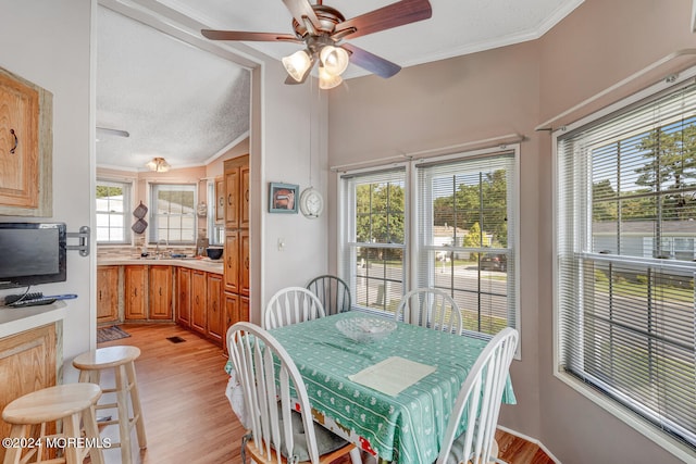 dining area featuring plenty of natural light, ceiling fan, and light hardwood / wood-style flooring