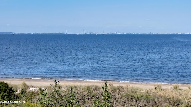 property view of water with a beach view