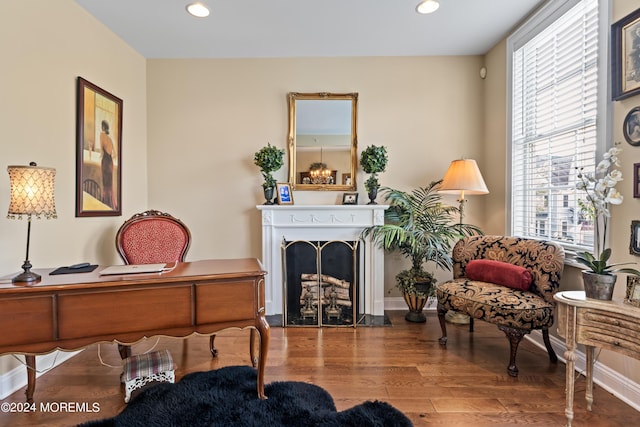 living area featuring hardwood / wood-style floors and plenty of natural light