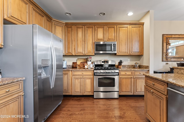 kitchen with dark hardwood / wood-style floors, light stone countertops, and stainless steel appliances