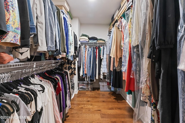 spacious closet with hardwood / wood-style floors