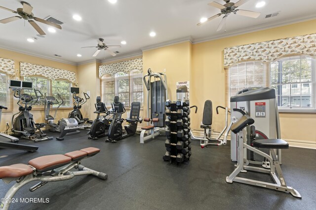 workout area featuring crown molding, plenty of natural light, and ceiling fan