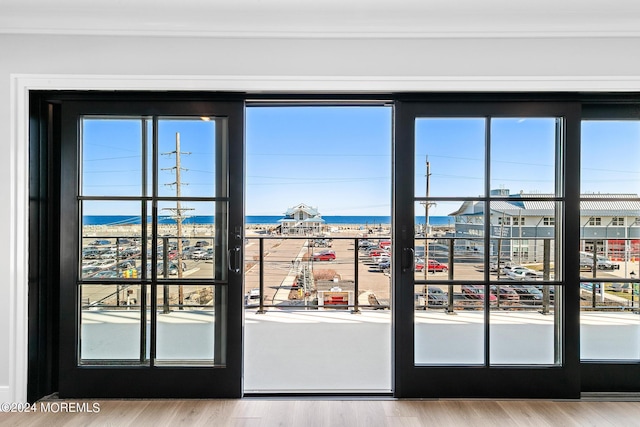 entryway with light hardwood / wood-style floors and a water view