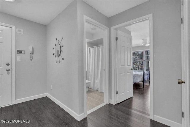 foyer featuring dark hardwood / wood-style flooring