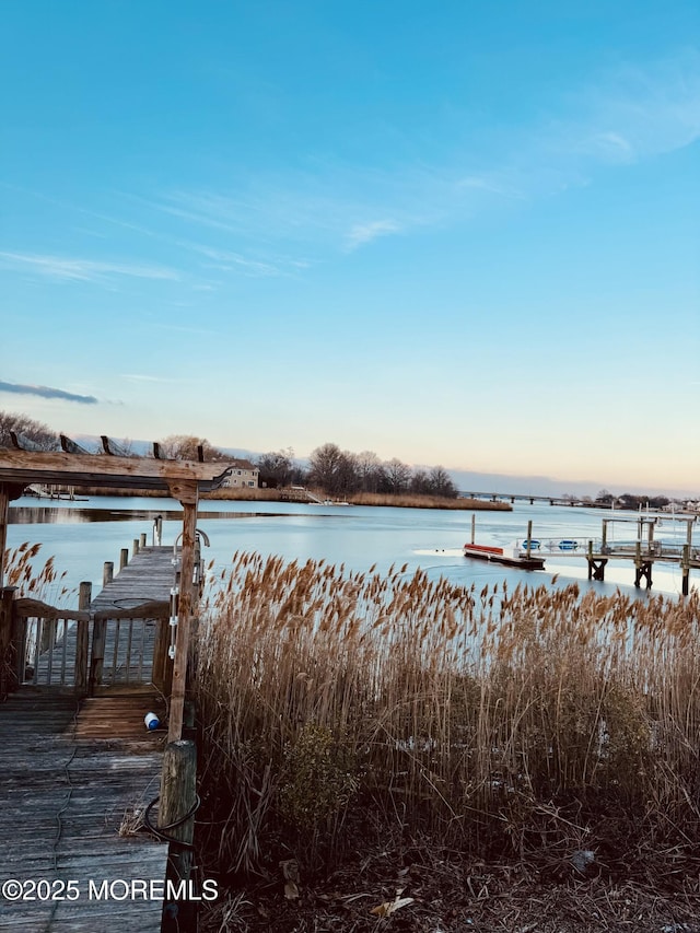 dock area with a water view