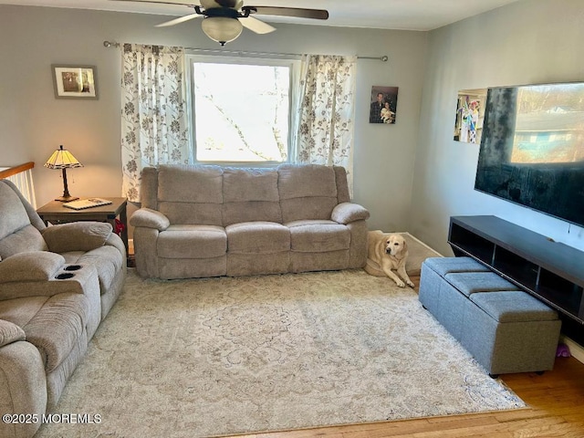 living room with ceiling fan and wood-type flooring