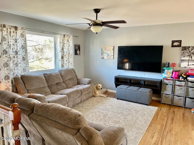 living room featuring ceiling fan and hardwood / wood-style flooring