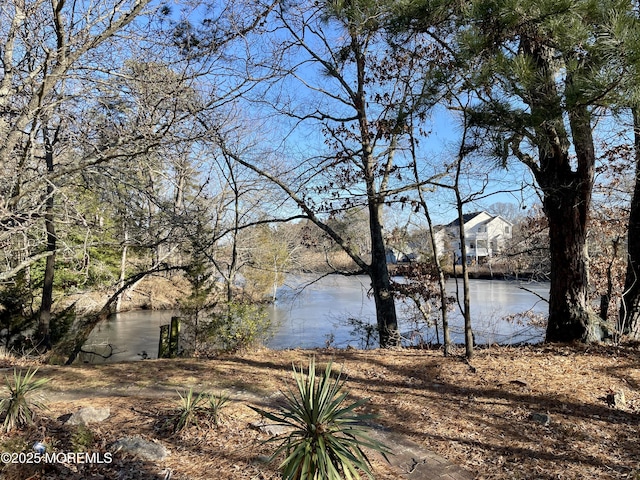 water view