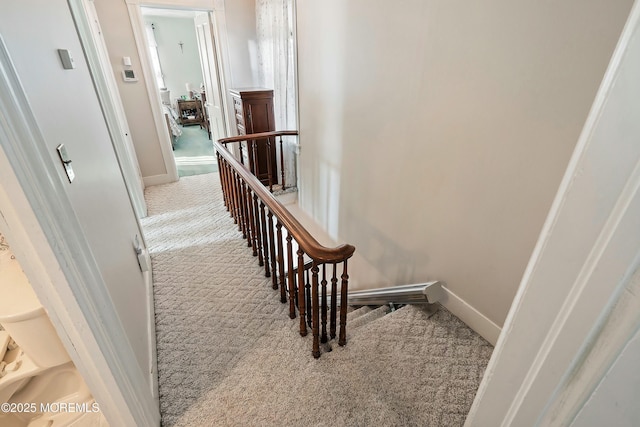 stairs featuring carpet