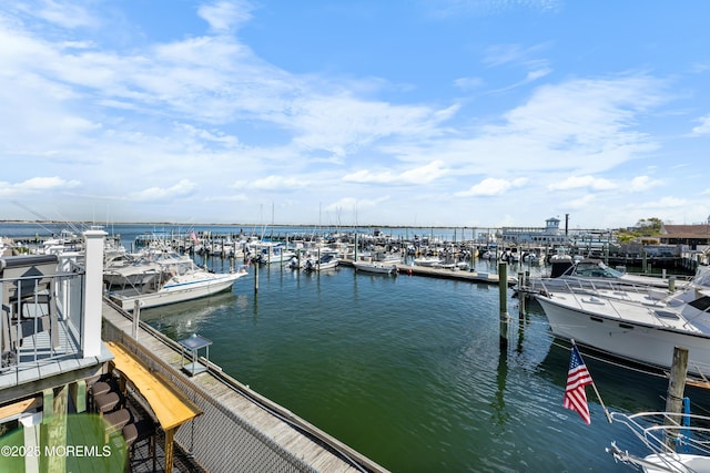 dock area with a water view