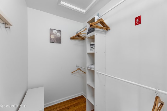 spacious closet with wood-type flooring