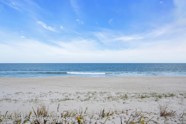 view of water feature with a beach view