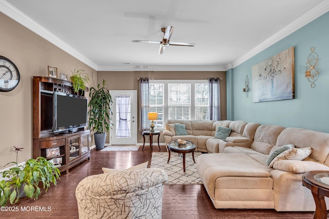 living room with ceiling fan, dark wood-type flooring, and crown molding