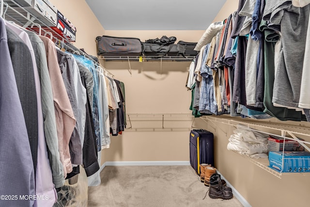 spacious closet featuring carpet flooring