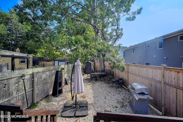 view of yard featuring a shed