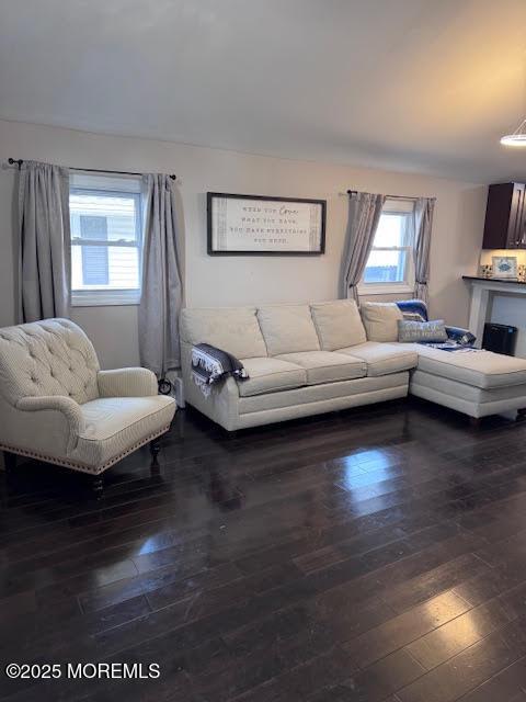 living room with dark hardwood / wood-style flooring