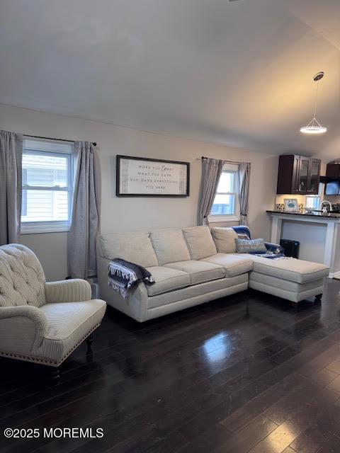 living room with dark hardwood / wood-style flooring