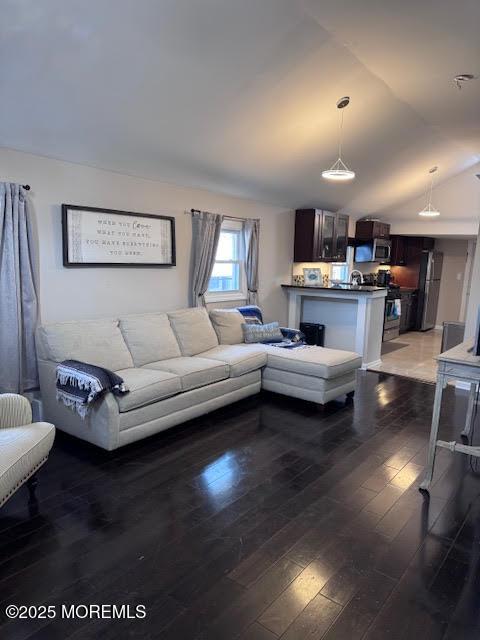 living room featuring lofted ceiling and dark hardwood / wood-style floors