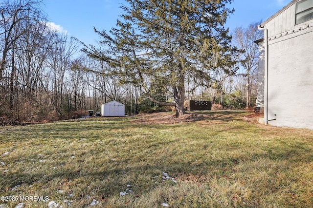 view of yard featuring a shed