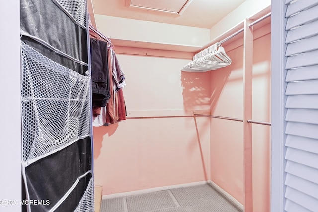 spacious closet featuring carpet flooring