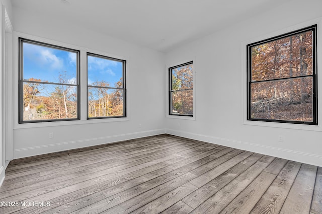 empty room with a wealth of natural light and light hardwood / wood-style flooring