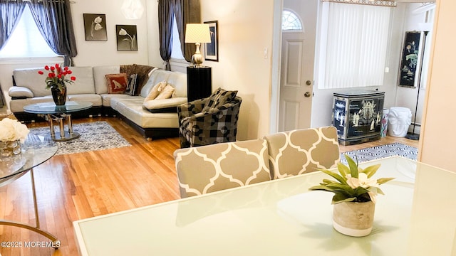 living room featuring a wealth of natural light and wood-type flooring