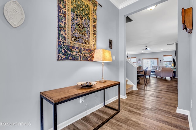 hall featuring hardwood / wood-style floors and ornamental molding