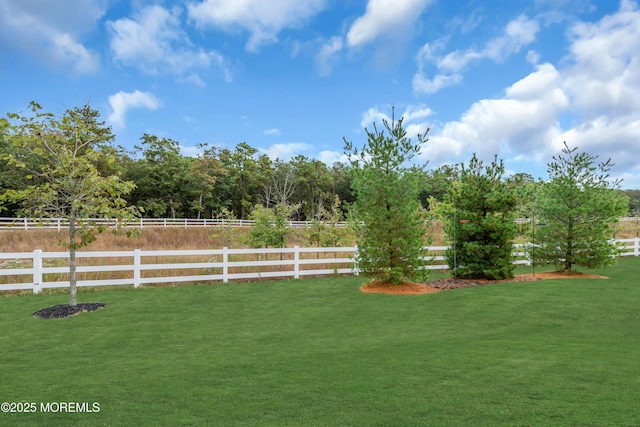 view of yard with a rural view