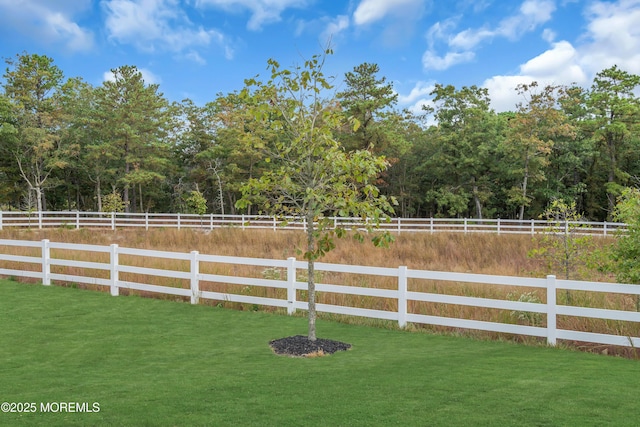 view of yard featuring a rural view