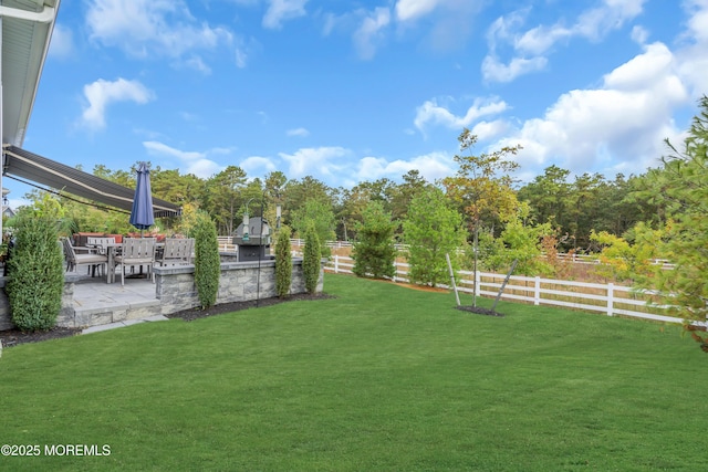 view of yard featuring a patio area