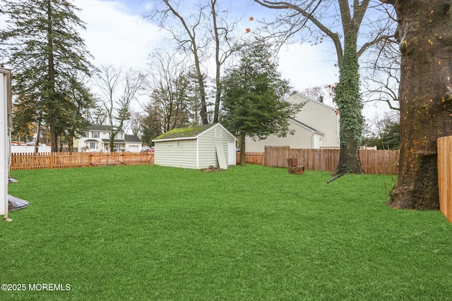 view of yard featuring a shed