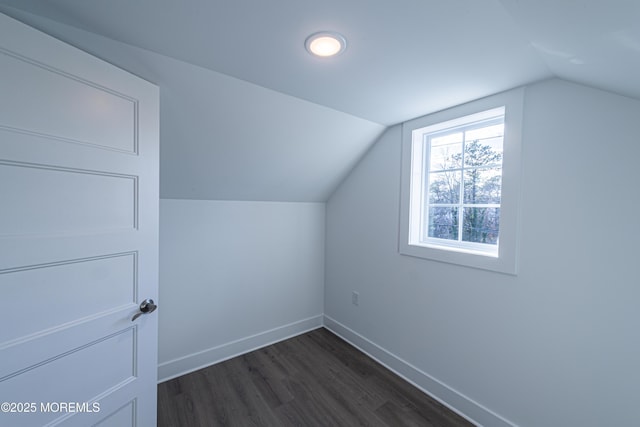 bonus room featuring vaulted ceiling and dark hardwood / wood-style flooring