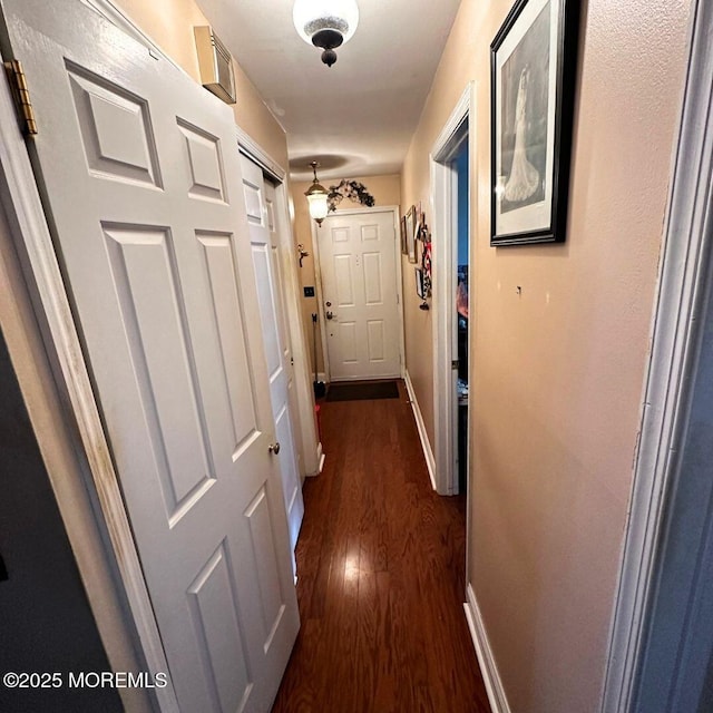 hall featuring dark hardwood / wood-style floors