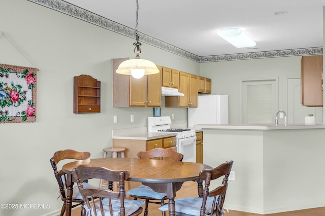 interior space with white appliances, decorative light fixtures, and sink