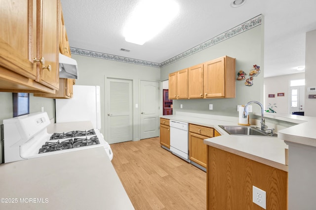 kitchen featuring sink, white appliances, a textured ceiling, and light hardwood / wood-style flooring