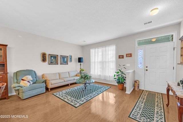 living room with wood-type flooring