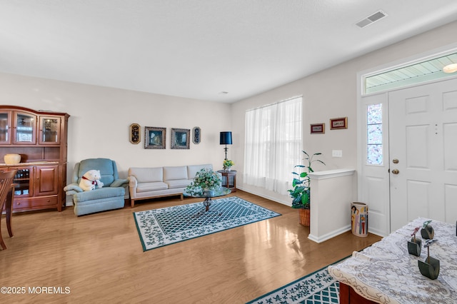 living room with wood-type flooring and a healthy amount of sunlight